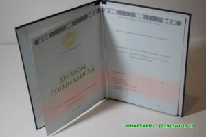 Купить диплом ТИБ — Томского института бизнеса в Пензе